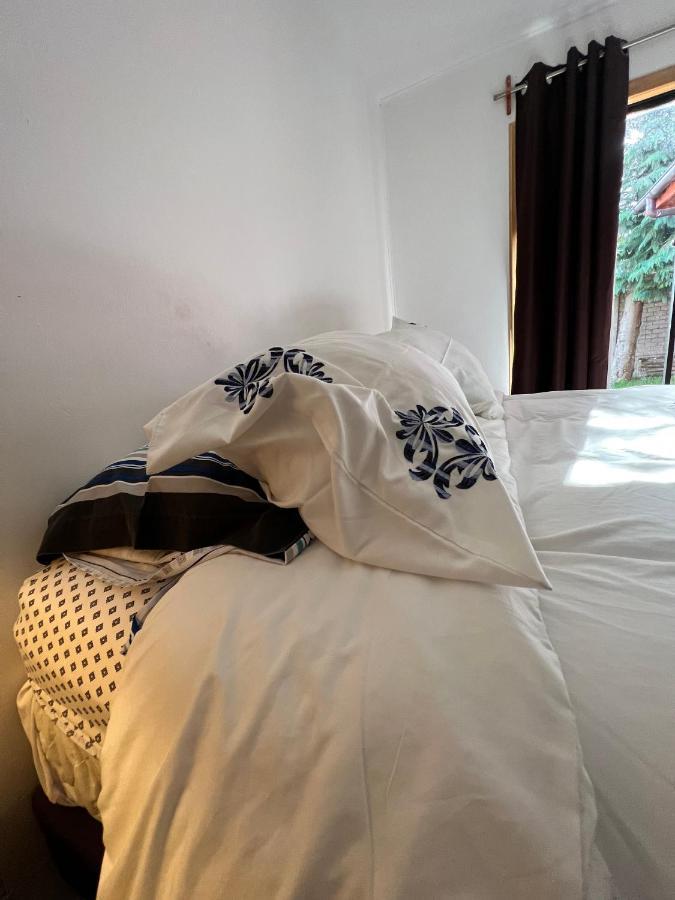 Hotel Boutique Family Suites Panguipulli Luaran gambar